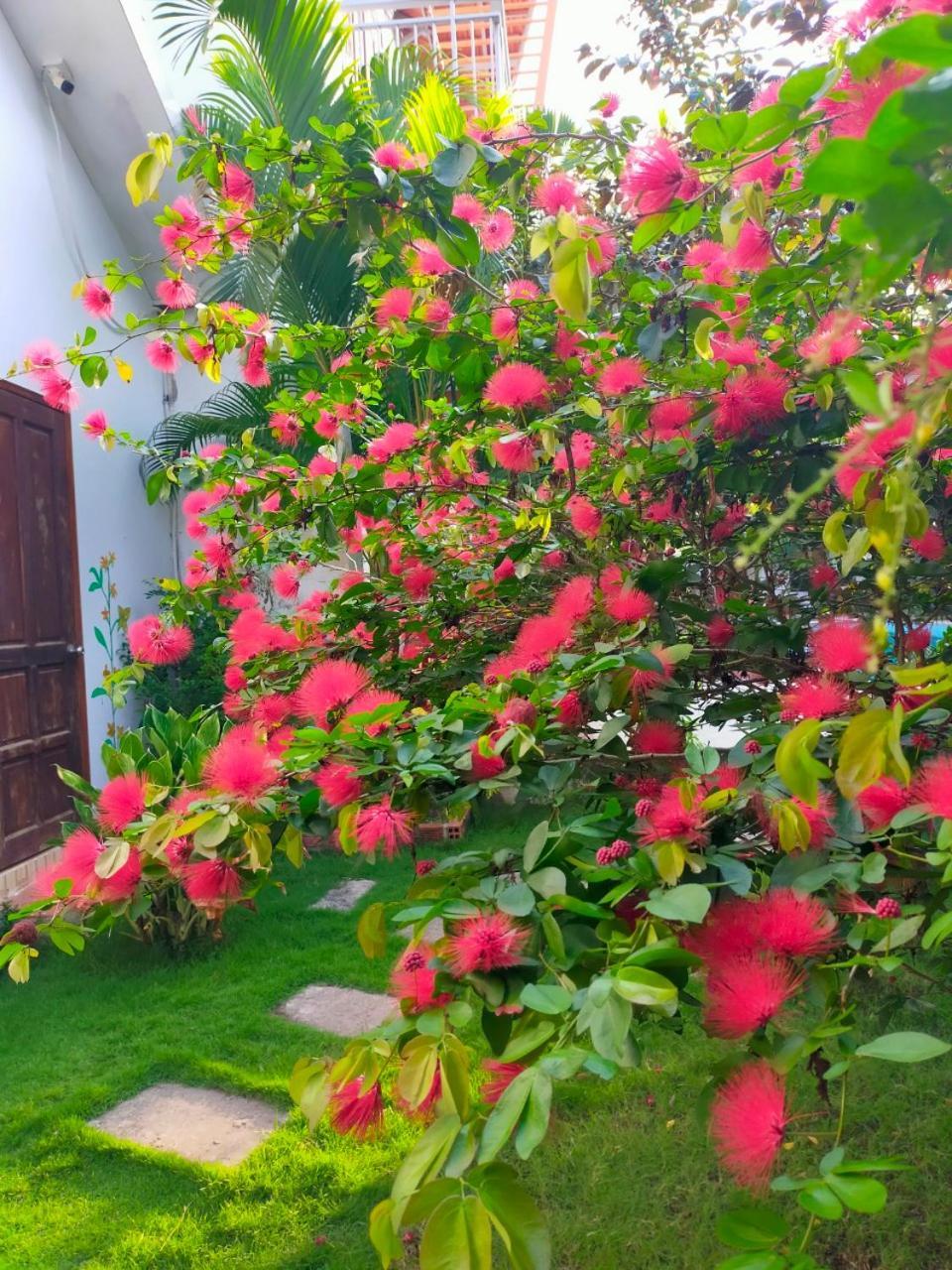 Serenity Garden Phu Quoc Exterior foto